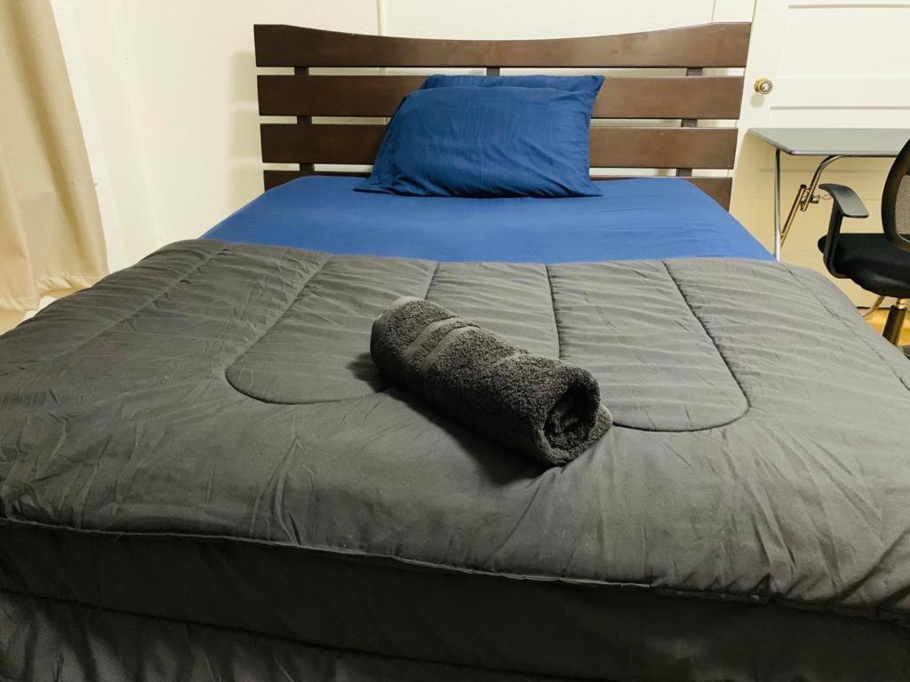 San Francisco Zen Home Eksteriør billede